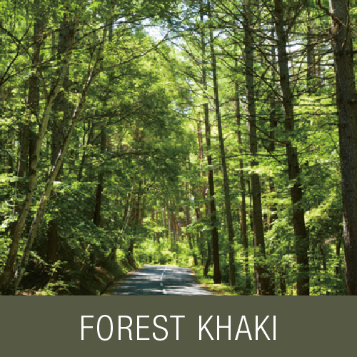FOREST KHAKI