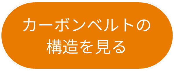 カーボンベルトの構造を見る